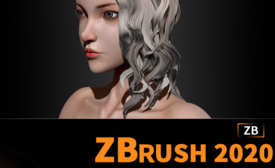 周达学Zbrush2020入门教程【画质还行只有视频】-北少网创