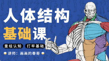 春哥人体结构基础课第13期【画质不错有大部分课件】-北少网创