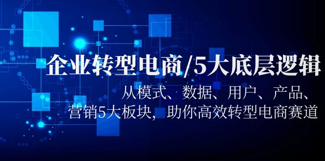 (939期）企业转型电商/5大底层逻辑，从模式 数据 用户 产品 营销5大板块，高效转型-课神