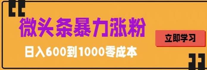 (950期）微头条暴力涨粉技巧搬运文案就能涨几万粉丝，简单0成本，日赚600-北少网创