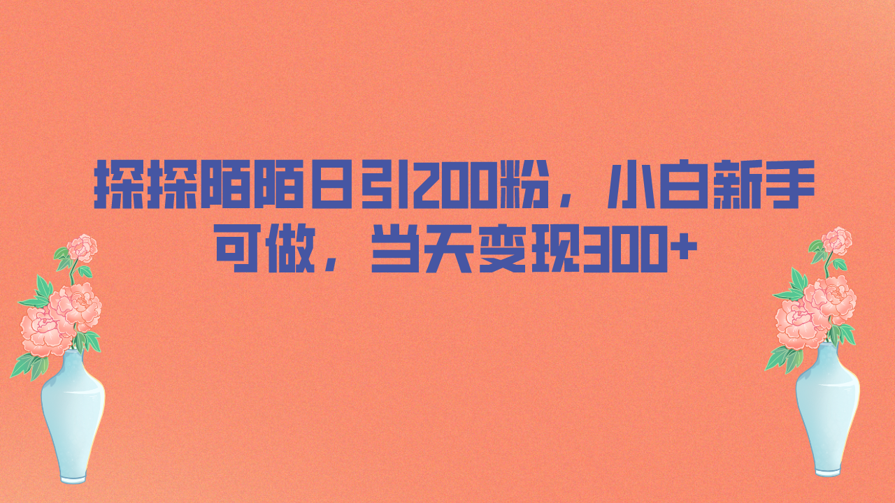 (1817期）探探陌陌日引200粉，小白新手可做，当天就能变现300+-课神