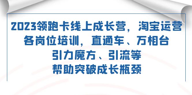 (2462期）2023领跑·卡线上成长营 淘宝运营各岗位培训 直通车 万相台 引力魔方 引流-课神