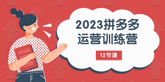 (2805期）2023拼多多运营训练营：流量底层逻辑，免费+付费流量玩法（12节课）-北少网创