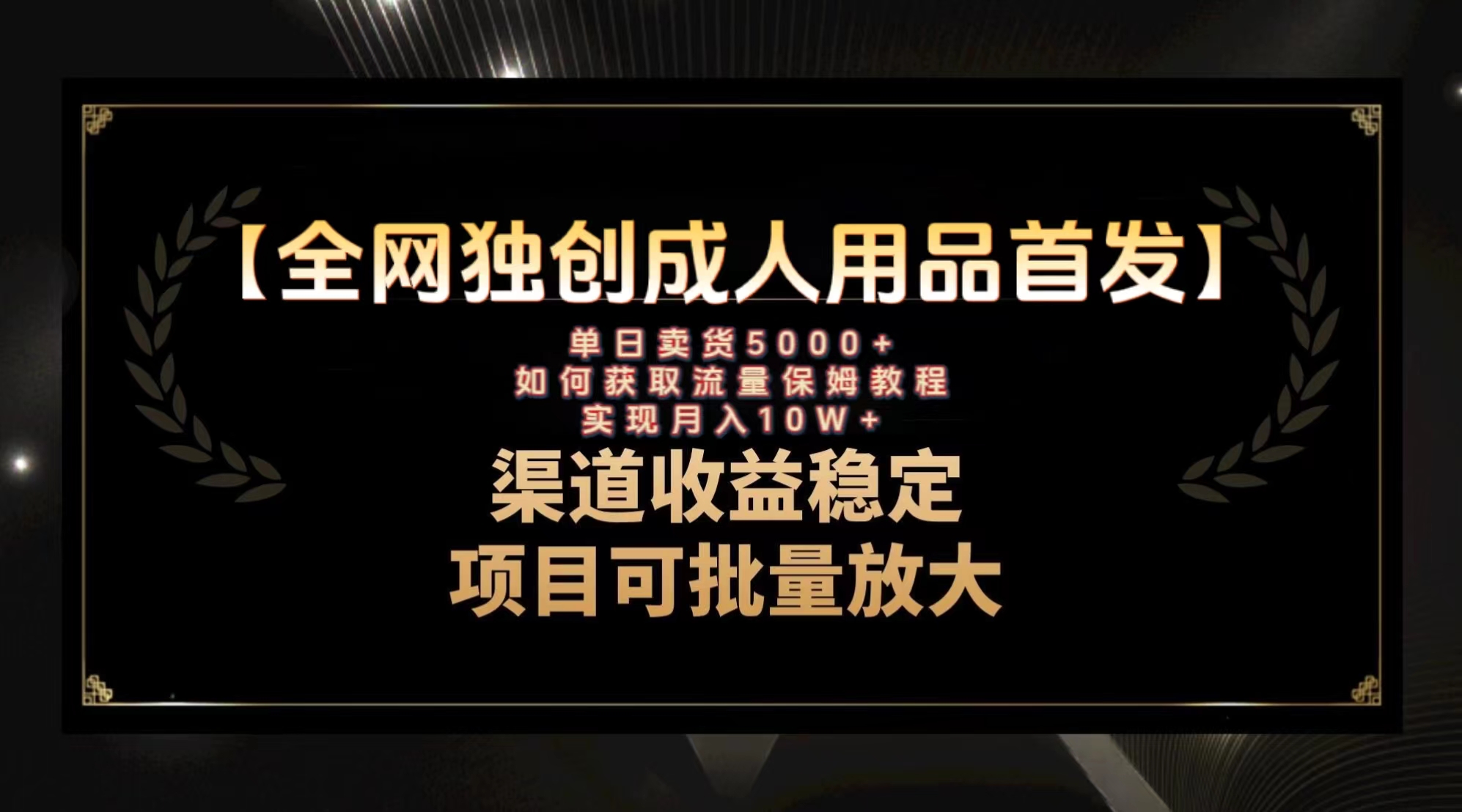 (3128期）最新全网独创首发，成人用品赛道引流获客，月入10w保姆级教程-北少网创