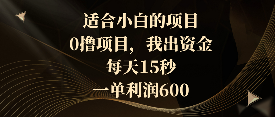 (3571期）适合小白的项目，0撸项目，我出资金，每天15秒，一单利润600-北少网创