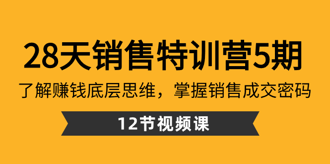 (3659期）28天·销售特训营5期：了解赚钱底层思维，掌握销售成交密码（12节课）-北少网创