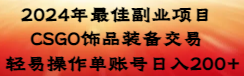 (3941期）2024年最佳副业项目 CSGO饰品装备交易 轻易操作单账号日入200+-北少网创