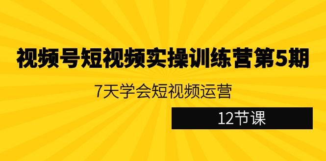 (4029期）视频号短视频实操训练营第5期：7天学会短视频运营（12节课）-北少网创