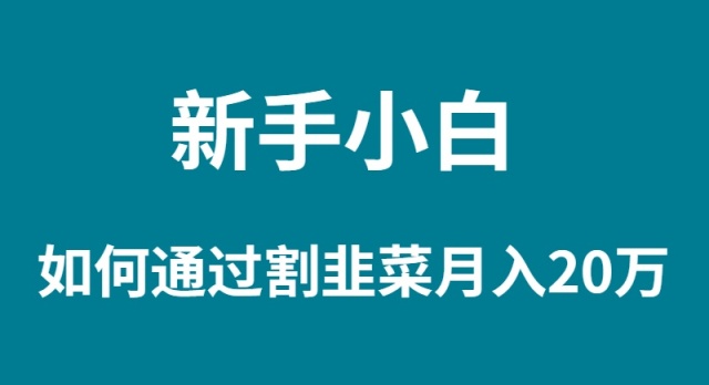 (4308期）新手小白如何通过割韭菜月入 20W-课神