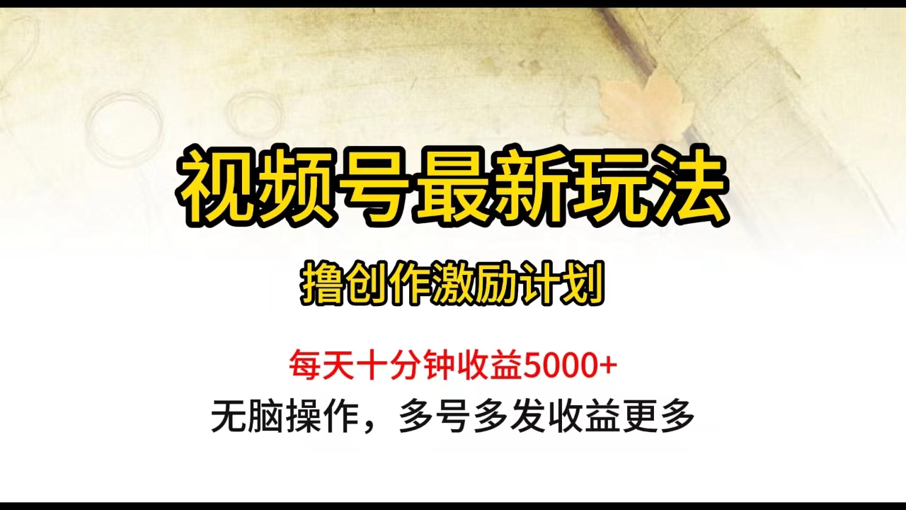 (10087期）视频号最新玩法，每日一小时月入5000+-北少网创