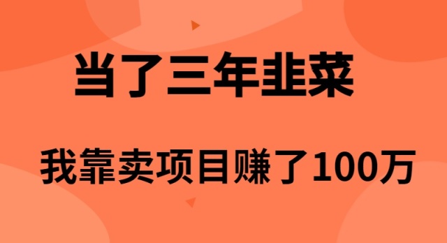 (10149期）当了3年韭菜，我靠卖项目赚了100万-北少网创