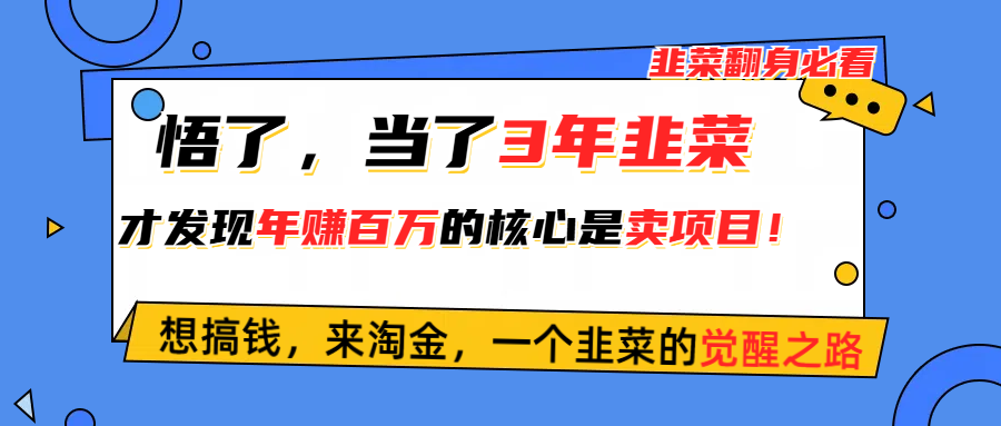 (10759期）悟了，当了3年韭菜，才发现网赚圈年赚100万的核心是卖项目，含泪分享！-北少网创