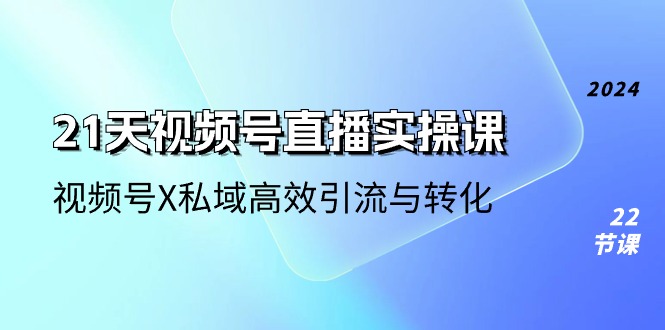 (10966期）21天-视频号直播实操课，视频号X私域高效引流与转化（22节课）-北少网创