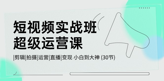 (10836期）短视频实战班-超级运营课，|剪辑|拍摄|运营|直播|变现 小白到大神 (30节)-北少网创